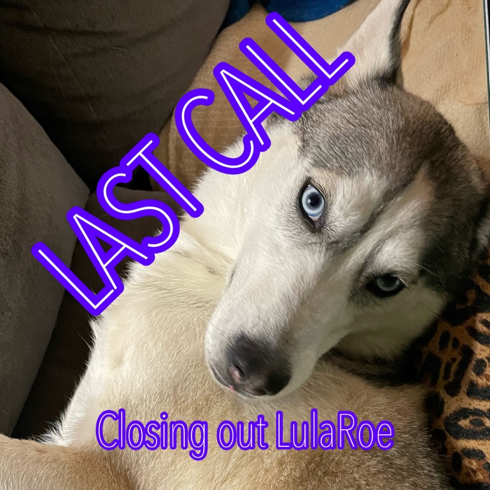 LLR - 19 February - Last Day
